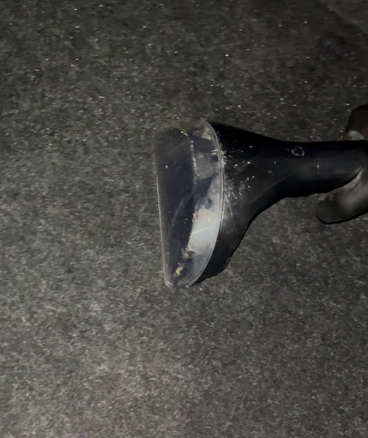 Shampouinage des tapis et moquettes